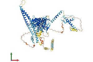 AlphaFold protein structure predicition of Human Recombinant KIF9 Protein, UniprotID Q9HAQ2