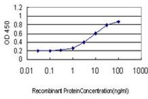 ELISA image for anti-SMC6 Structural Maintenance of Chromosomes 6-Like 1 (SMC6) (AA 1-110) antibody (ABIN599304) (SMC6 Antikörper  (AA 1-110))
