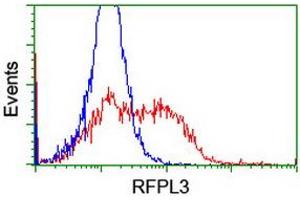 HEK293T cells transfected with either RC206518 overexpress plasmid (Red) or empty vector control plasmid (Blue) were immunostained by anti-RFPL3 antibody (ABIN2455787), and then analyzed by flow cytometry. (RFPL3 Antikörper)