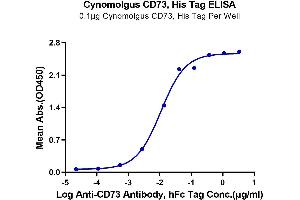 ELISA image for 5'-Nucleotidase, Ecto (CD73) (NT5E) (AA 27-554) protein (His tag) (ABIN7274219)