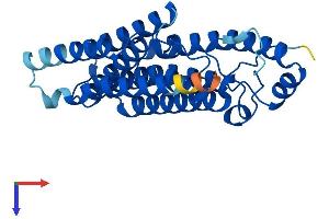 ICMT Protein (AA 1-283) (His tag)