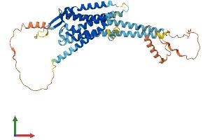 Protein Structure (PS) image for Neuropeptide Y Receptor Y5 (NPY5R) (AA 1-466) protein (His tag) (ABIN7562539)
