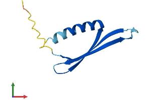 AlphaFold protein structure predicition of Human Recombinant COMMD6 Protein, UniprotID Q7Z4G1