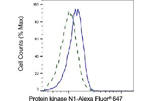 Validation of Protein kinase N1 knockdown using flow cytometry. (Rekombinanter PKN1 Antikörper)