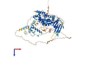PGBD1 Protein (AA 1-809) (His tag)