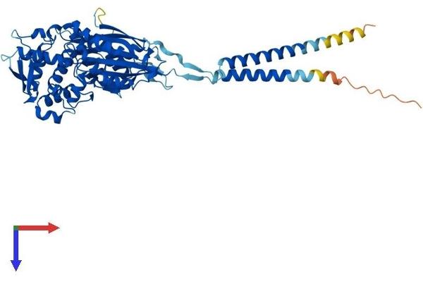 ENTPD3 Protein (AA 1-529) (His tag)