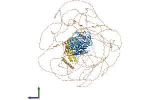 Protein Structure (PS) image for Mediator Complex Subunit 1 (MED1) (AA 1-1575) protein (His tag) (ABIN7564869)