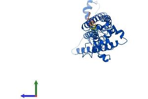 SC5DL Protein (AA 1-299) (His tag)