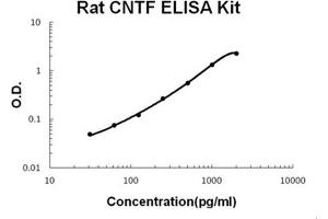 Rat CNTF PicoKine ELISA Kit standard curve