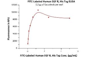 Immobilized Cetuximab at 2 μg/mL (100 μL/well) can bind Fed Human EGF R, His Tag (ABIN6933639,ABIN6938819) with a linear range of 0.