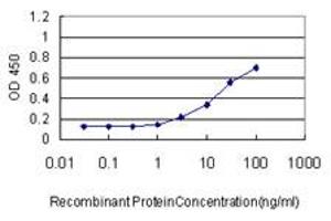Detection limit for recombinant GST tagged SERPINE1 is approximately 0. (PAI1 Antikörper  (AA 86-185))