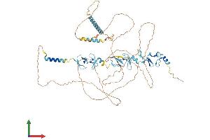 Protein Structure (PS) image for LIM Domains Containing 1 (LIMD1) (AA 1-676) protein (His tag) (ABIN7554398)