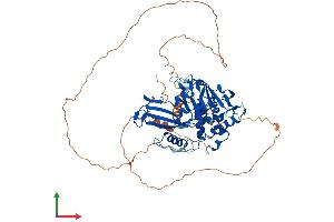 Protein Structure (PS) image for Ubiquitin Specific Peptidase 2 (USP2) (AA 1-605) protein (His tag) (ABIN7555895)
