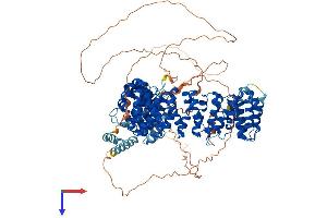 PPP4R1 Protein (AA 1-951) (His tag)