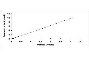 Typical standard curve (SGSH ELISA Kit)