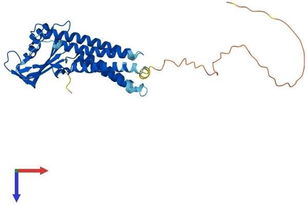 DUOXA1 Protein (AA 1-343) (His tag)