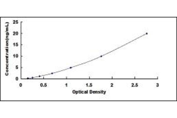 CYP1A2 ELISA Kit