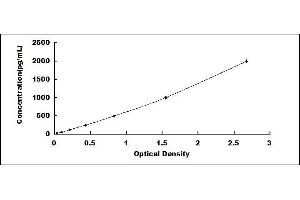 Typical standard curve (TIMP2 ELISA Kit)