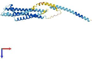 STX2 Protein (AA 1-289) (His tag)