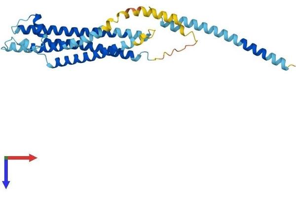 STX2 Protein (AA 1-289) (His tag)