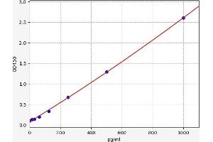 Typical standard curve