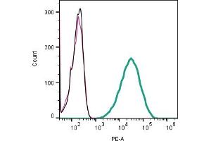 Cell surface detection of CD63 by direct flow cytometry in live intact mouse  microglia cell line: + Rabbit IgG Isotype Control-PE. (CD63 Antikörper  (Extracellular) (PE))