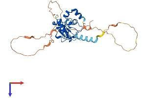 BIRC7 Protein (AA 1-285) (His tag)