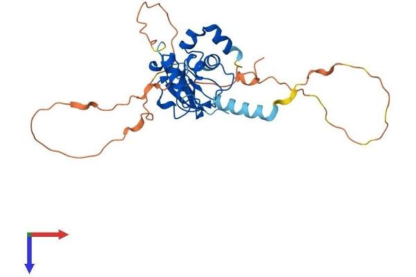 BIRC7 Protein (AA 1-285) (His tag)