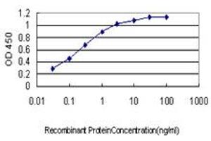 Detection limit for recombinant GST tagged PBX3 is approximately 0. (PBX3 Antikörper  (AA 342-434))