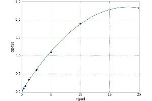 Chemokine (C-C Motif) Ligand 28 (CCL28) ELISA Kit