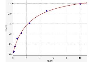 TIMP Metallopeptidase Inhibitor 4 (TIMP4) ELISA Kit