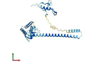 Protein Structure (PS) image for Menage A Trois Homolog 1, Cyclin H Assembly Factor (Xenopus Laevis) (MNAT1) (AA 1-309) protein (His tag) (ABIN7563409)