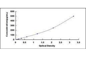 ELISA image for Interleukin 37 (IL37) ELISA Kit (ABIN420450) (IL-37 ELISA Kit)