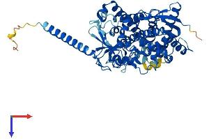 CYP4F12 Protein (AA 1-524) (His tag)