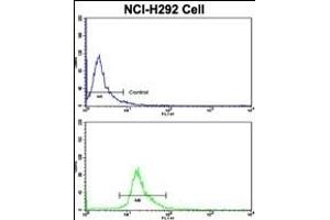 Flow cytometric analysis of NCI- cells using C Antibody (Center)(bottom histogram) compared to a negative control cell (top histogram).