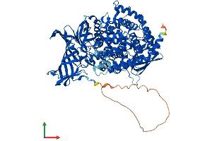 Protein Structure (PS) image for Aminopeptidase Puromycin Sensitive (NPEPPS) (AA 1-920) protein (His tag) (ABIN7563628)