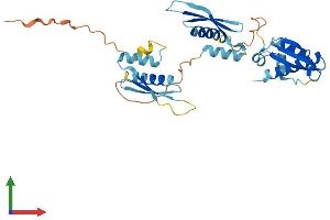 Protein Structure (PS) image for Protein Kinase, Interferon-Inducible Double Stranded RNA Dependent Activator (PRKRA) (AA 1-313) protein (His tag) (ABIN7556252)