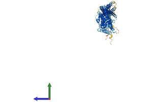 Protein Structure (PS) image for SEC14 and Spectrin Domains 1 (SESTD1) (AA 1-696) protein (His tag) (ABIN7555420)