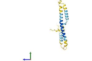 Protein Structure (PS) image for Potassium Voltage-Gated Channel, Isk-Related Family, Member 1 (KCNE1) (AA 1-129) protein (His tag) (ABIN7562976)