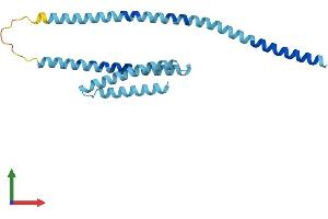 Protein Structure (PS) image for Golgi SNAP Receptor Complex Member 2 (GOSR2) (AA 1-212) protein (His tag) (ABIN7548052)