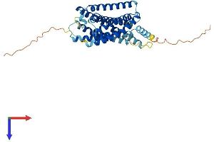 P2RY12 Protein (AA 1-347) (His tag)