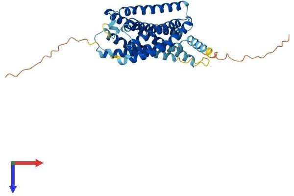 P2RY12 Protein (AA 1-347) (His tag)