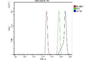 Flow Cytometry analysis of U937 cells using anti-beta 1 Spectrin/SPTB antibody (ABIN7602356). (Spectrin beta Chain, Erythrocyte (SPTB) (AA 703-2137) Antikörper)