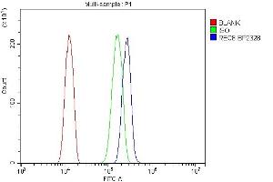 Flow Cytometry analysis of HeLa cells using anti-REC8 antibody (ABIN7599473). (REC8 Antikörper  (AA 1-547))