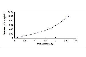 Typical standard curve (IL-18 ELISA Kit)