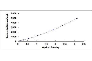 Lysyl Oxidase (LOX) ELISA Kit