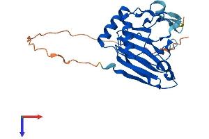 ALKBH2 Protein (AA 1-261) (His tag)
