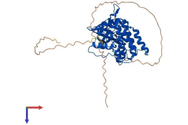 Casein Kinase 1 gamma 2 Protein (AA 1-415) (His tag)