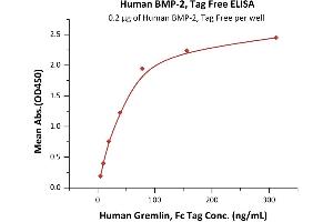 Immobilized Human BMP-2, Tag Free (ABIN2180654,ABIN2180653,ABIN6810028) at 2 μg/mL (100 μL/well) can bind Human Gremlin, Fc Tag (ABIN4949105,ABIN4949106) with a linear range of 5-78 ng/mL (QC tested). (BMP2 Protein (AA 284-396))