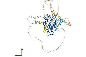 Protein Structure (PS) image for Suppressor of Cytokine Signaling 5 (SOCS5) (AA 1-536) protein (His tag) (ABIN7555561)